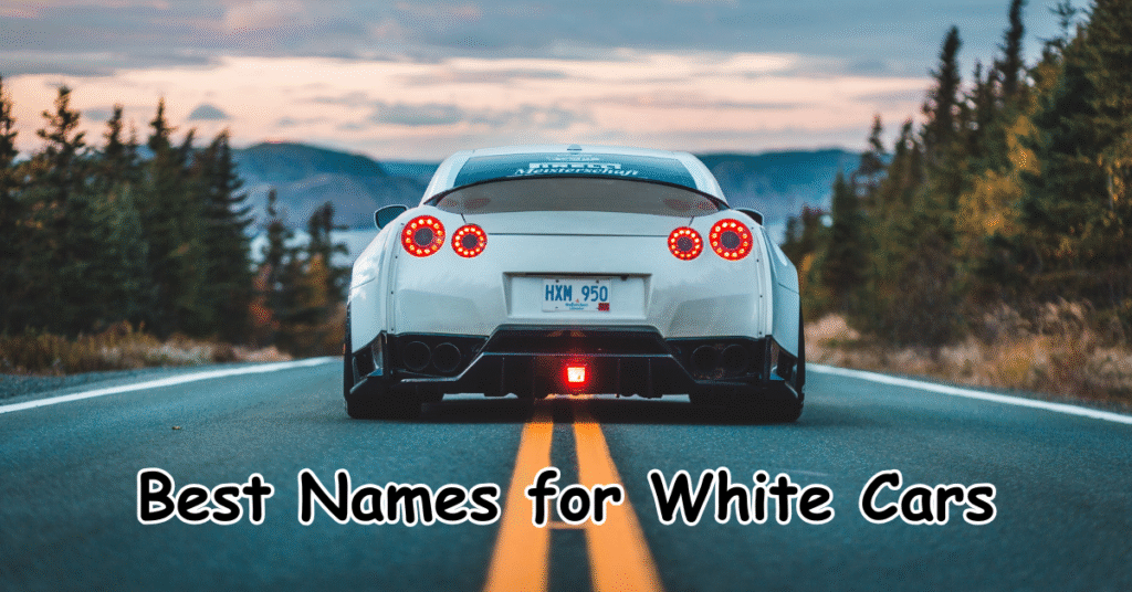 Name For White Carsnull