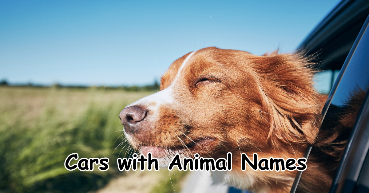 Cars with Animal Names
