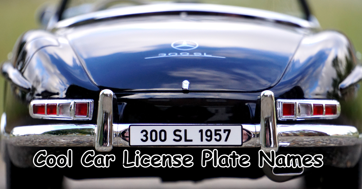cool car license plate names